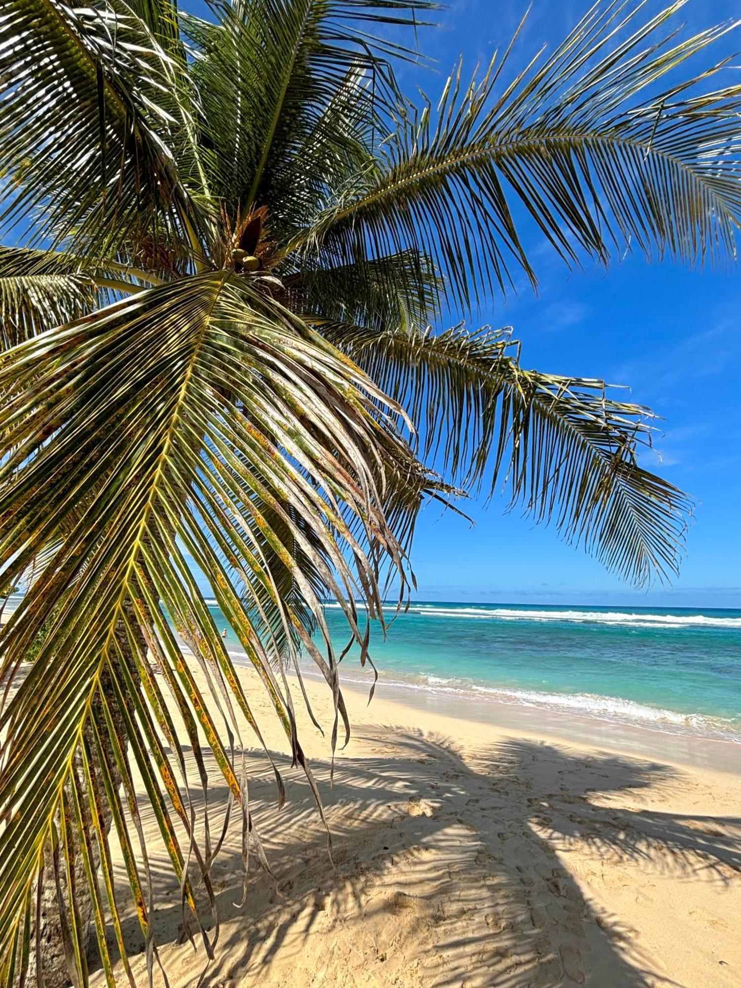 Anse-BertrandGite Mabouya - Hamak, Piscine, Jardin别墅 外观 照片